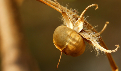 在重庆如何在网上找到专业的网页制作公司？